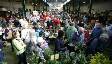 Food Festival Organisers Lose Patience