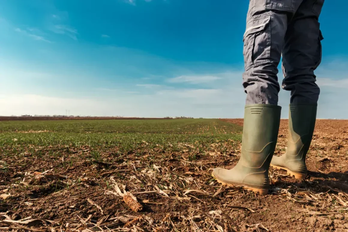 Farmers