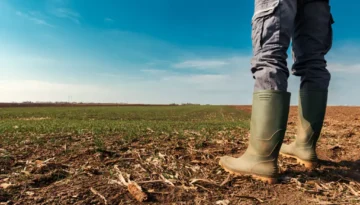 Farmers