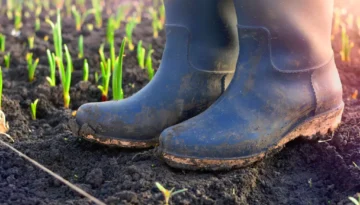 5,500 Empty Wellies On Senedd Steps