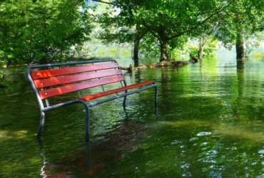 Davies: “Fund flood defences, not fake foreign embassies”