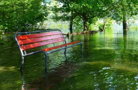 Davies: “Fund flood defences, not fake foreign embassies”